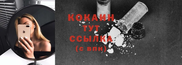 PSILOCYBIN Кукмор