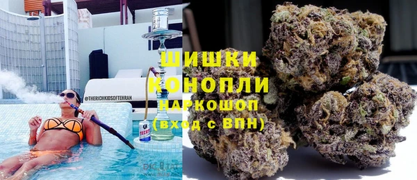 гашик Ладушкин