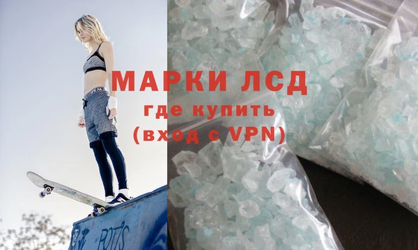 гашик Ладушкин