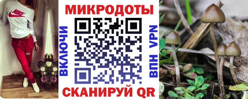 Псилоцибиновые грибы Magic Shrooms Нижнеудинск